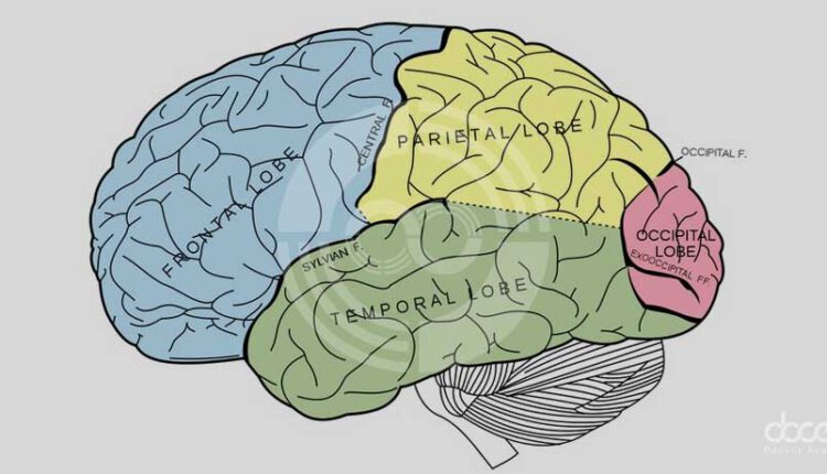 خواص حافظه‌ی انسان و اهمیت آن برای تجسم اطلاعات